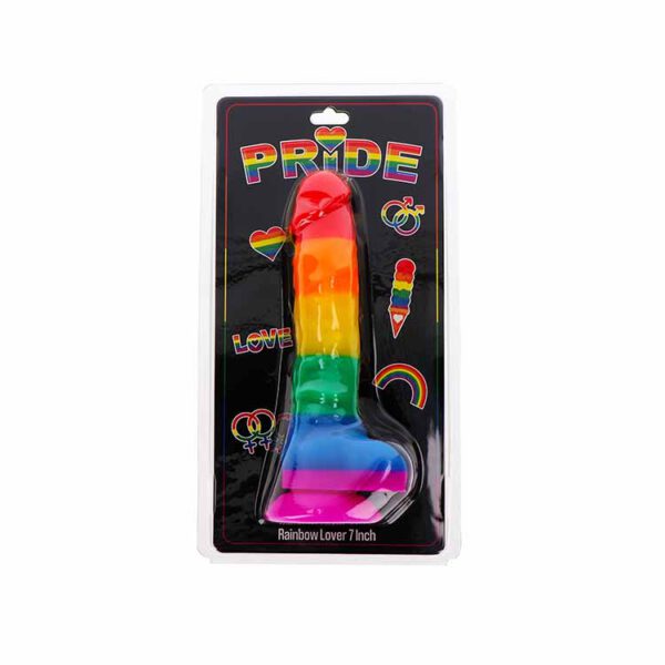 Rainbow Lover 7 Inch - Afbeelding 2