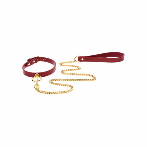 O-Ring Collar and Chain Leash - Afbeelding 3